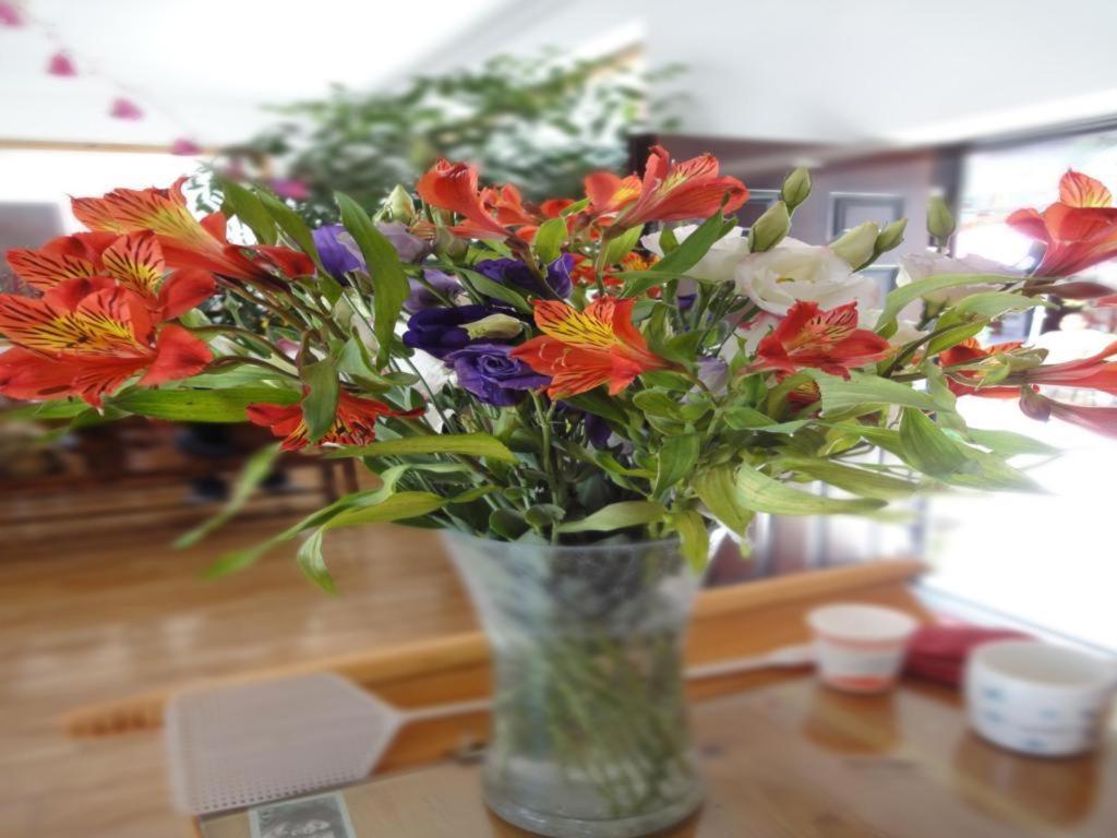 Dali Four Season Flower Inn 大荔 外观 照片